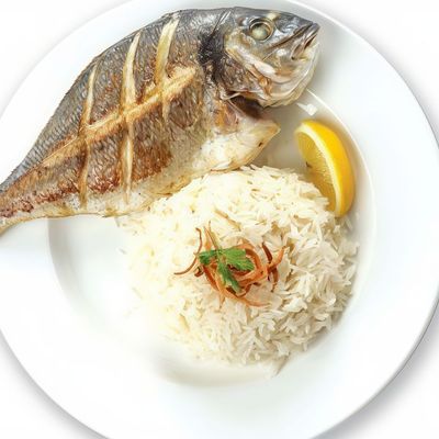 Sea Gilthead bream Fish Meal