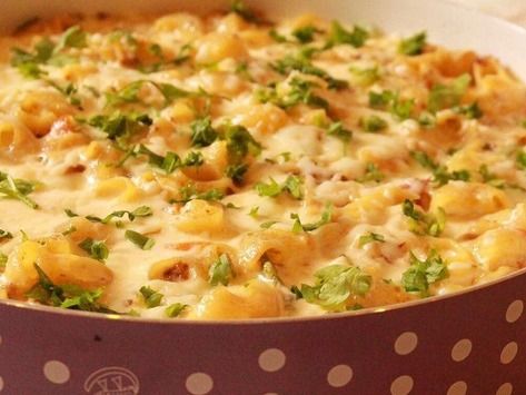 Mix Cheese Penne Pasta Casserole