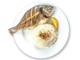 Gilthead Bream Fish Meal