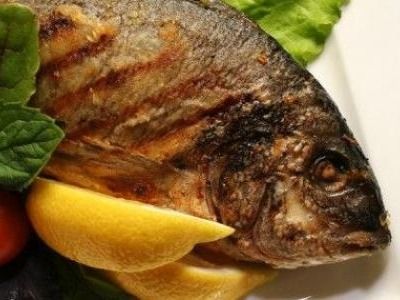 Tilapia Fish With Grey Mullet Fish Meal