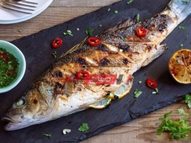 Sea Bass Fish