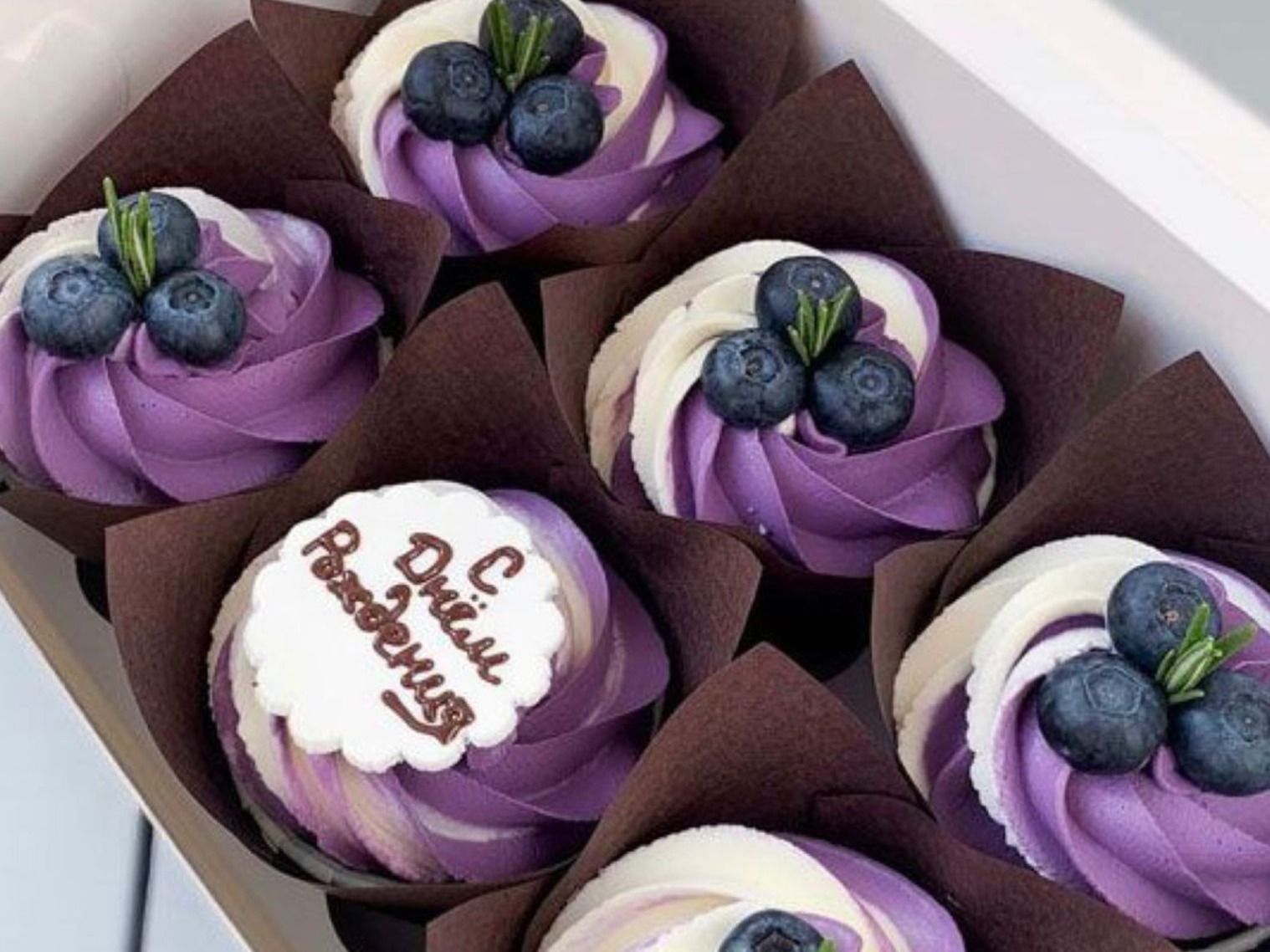 Blueberry Cupcake