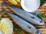 Mackerel
