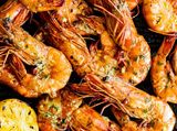 Shrimp