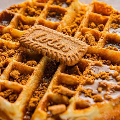 Lotus Waffle