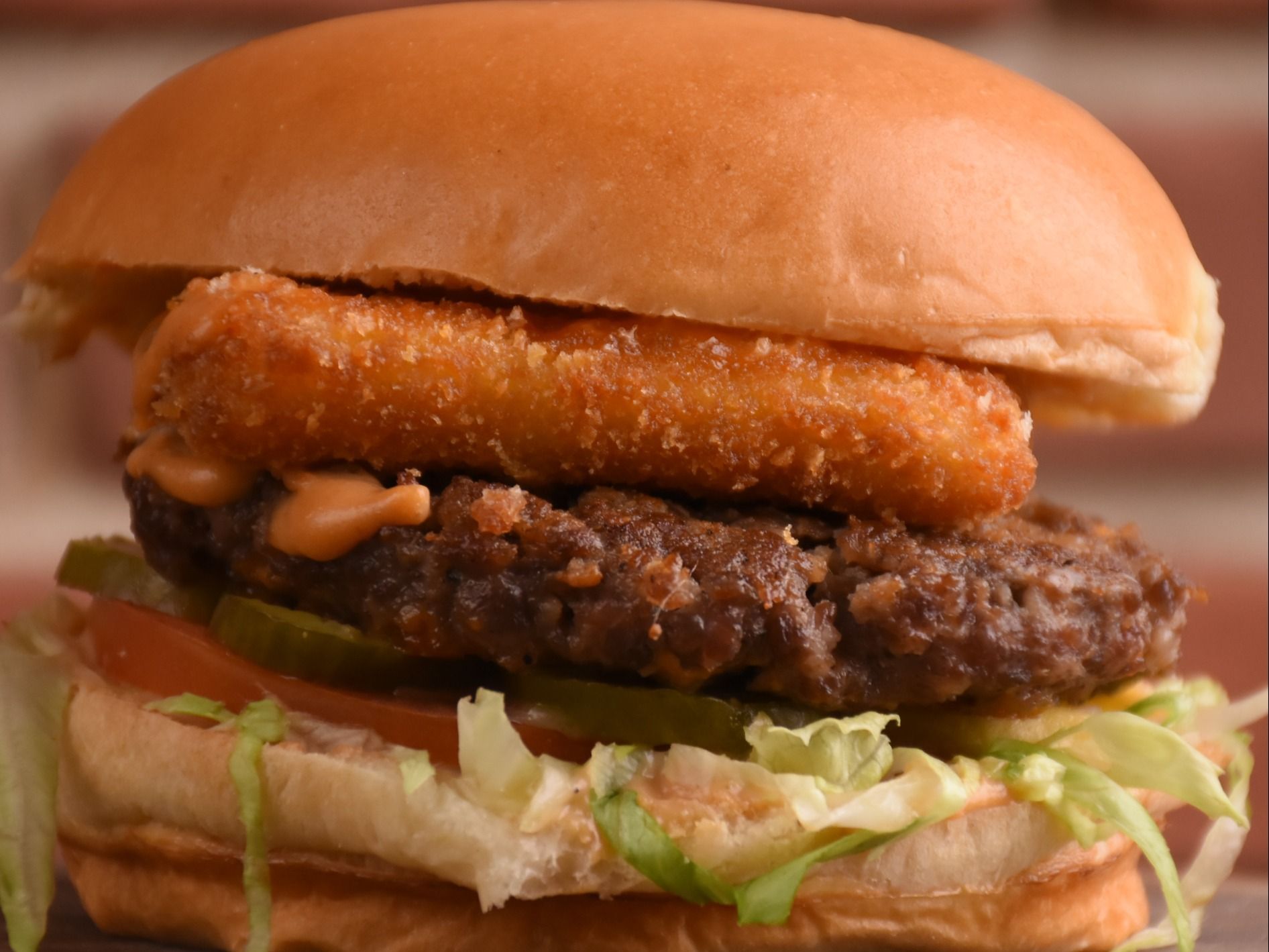 Beef Mozzarella Burger Sandwich