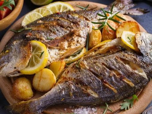 Tilapia Fish meal