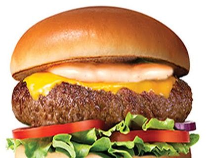 Large Cheese Burger Sandwich