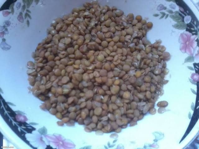 Lentil