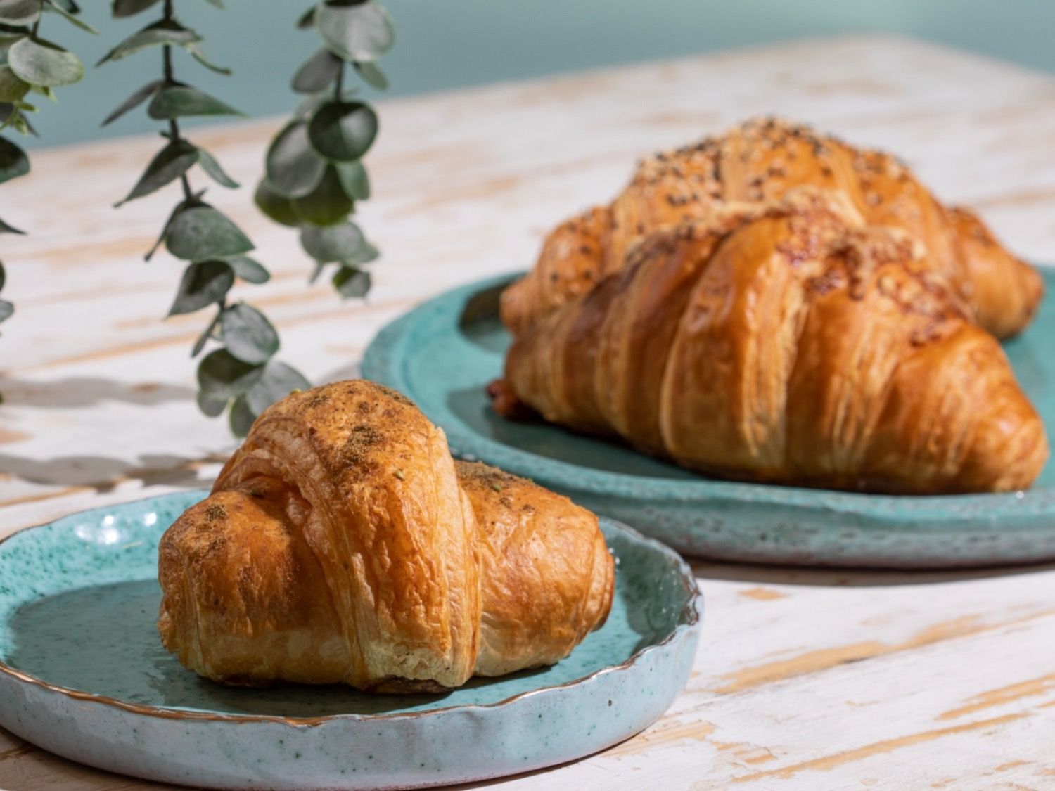 Cheese Croissant