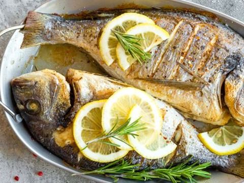 Gilthead Bream Fish