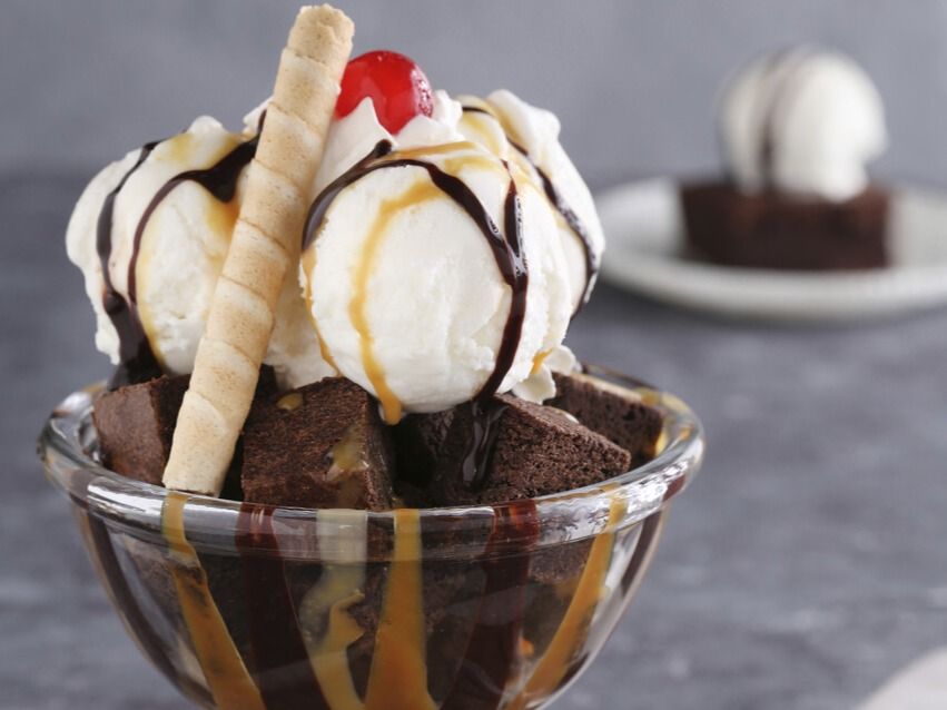 Brownies Lover Turtle