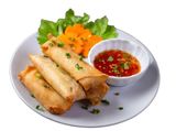 Vegetables Spring Rolls