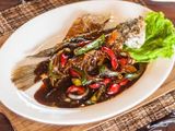 Ikan Bulti Lada Hitam