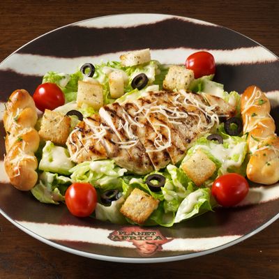 Chicken Caesar Salad