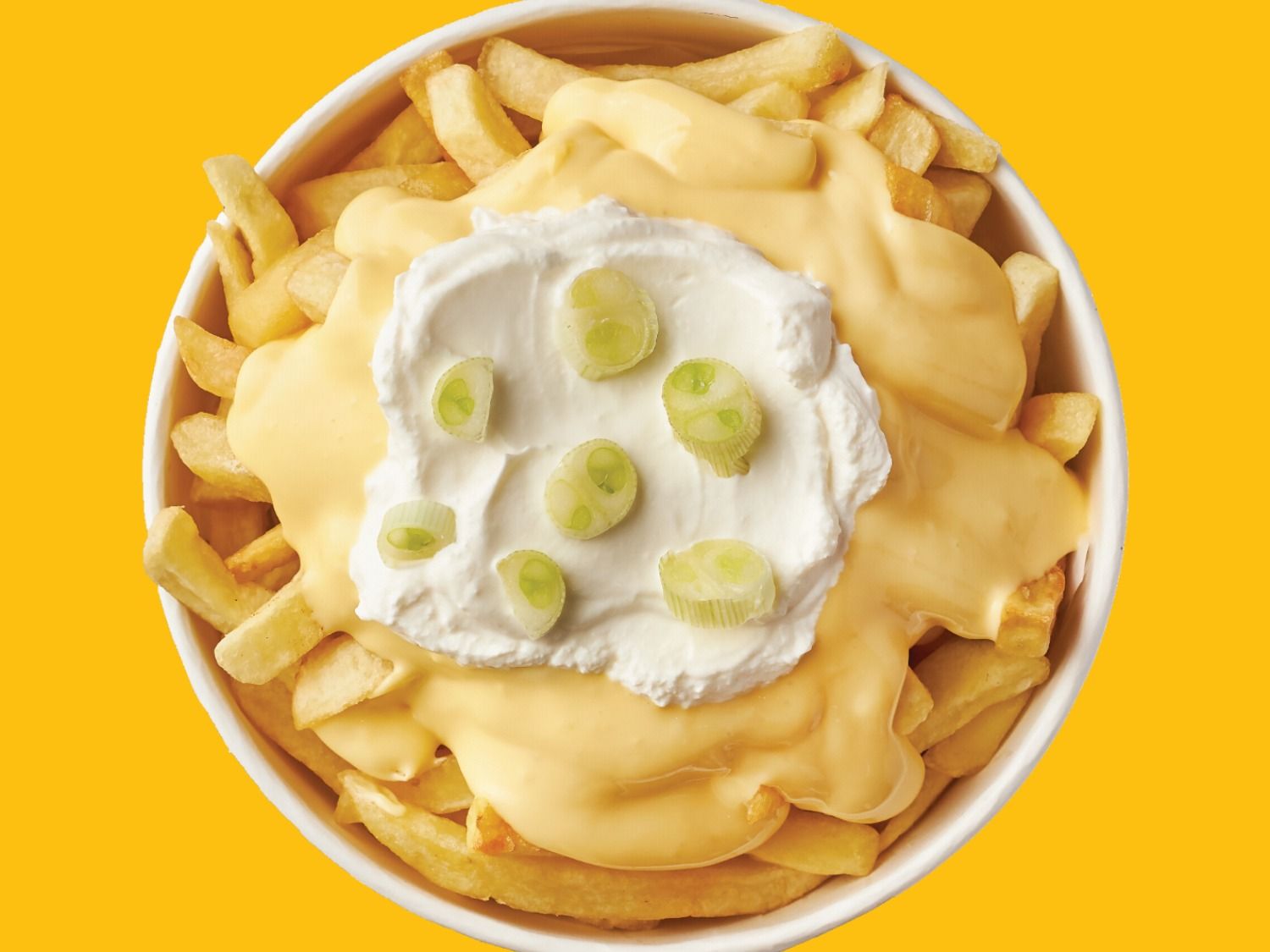 Cheezy Fries Poutine