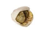 Baladi Tamiaa Sandwicth with Fried Eggs