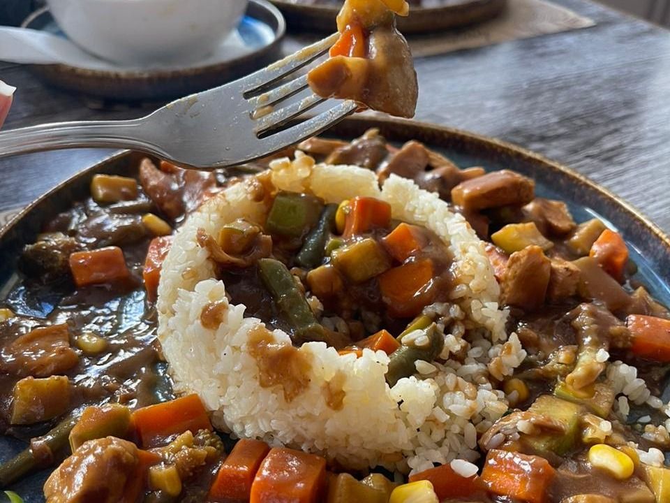 Chicken Veggie Brown Sauce Plate