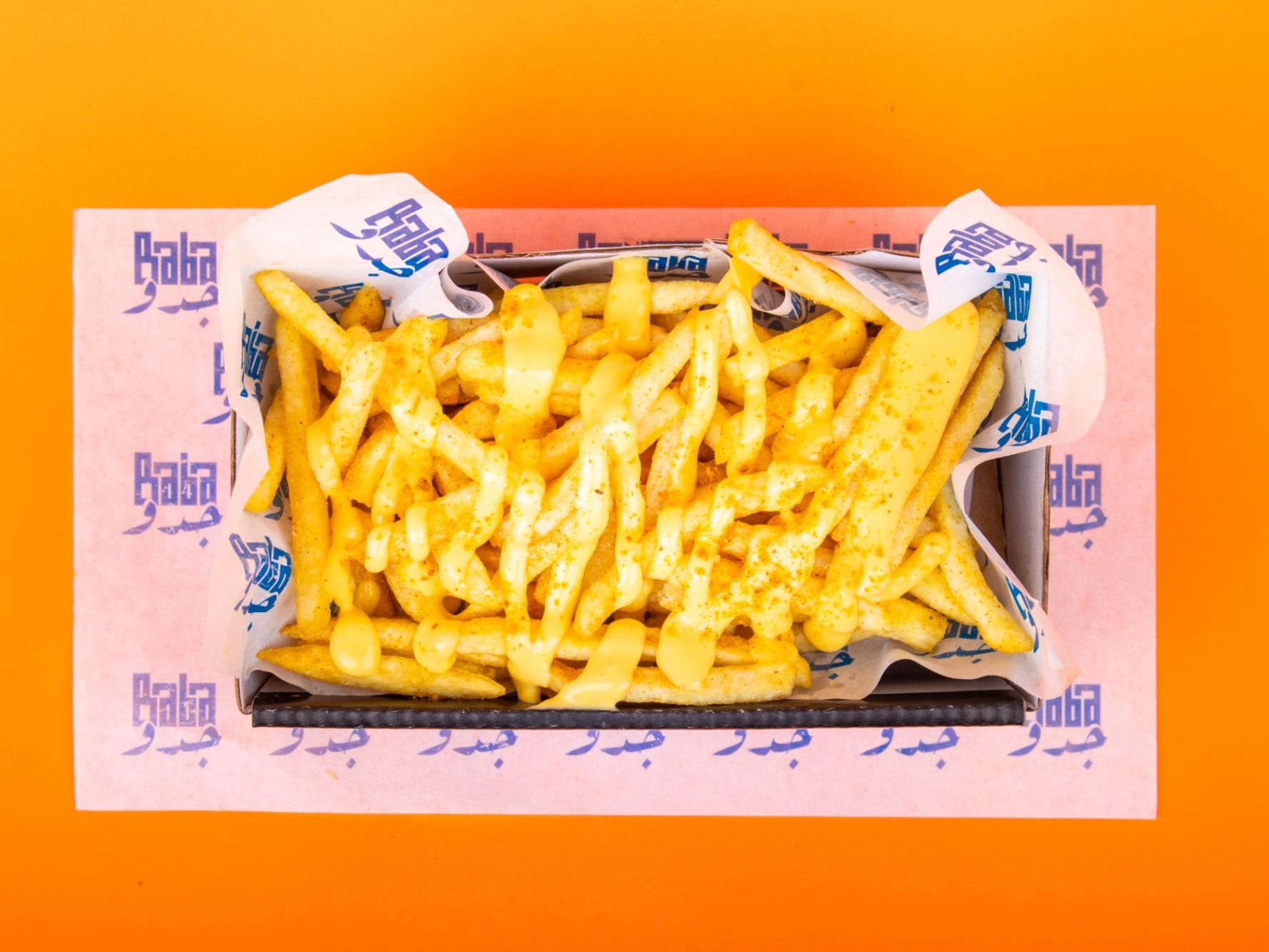 CHEESY FRIES