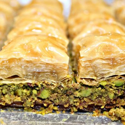 Abnaa Al Halabi photo 10