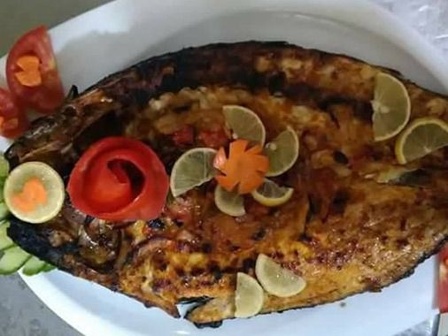 Singary Grey Mullet Fish