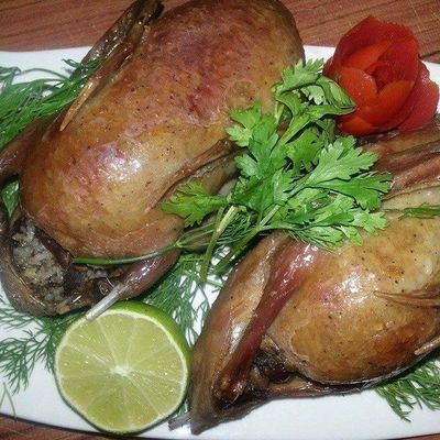 2 stuffed pigeons
