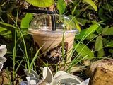 Nutella milkshake
