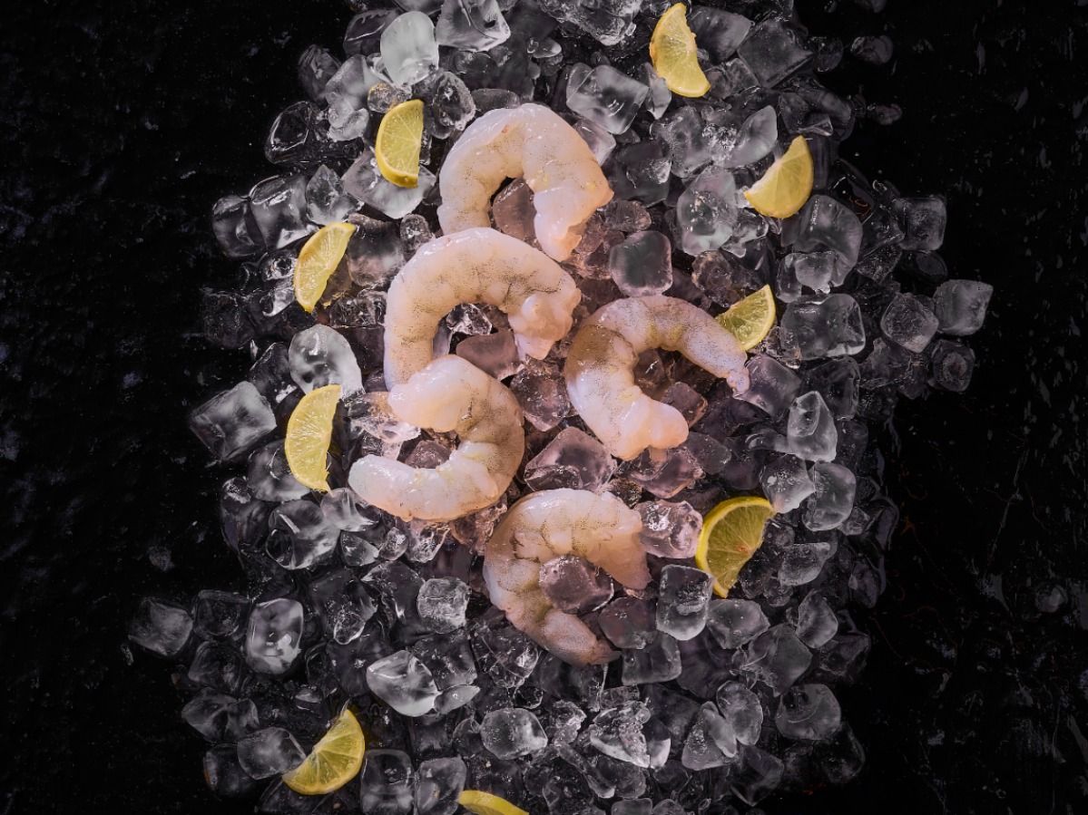 Large Meat Shrimp
