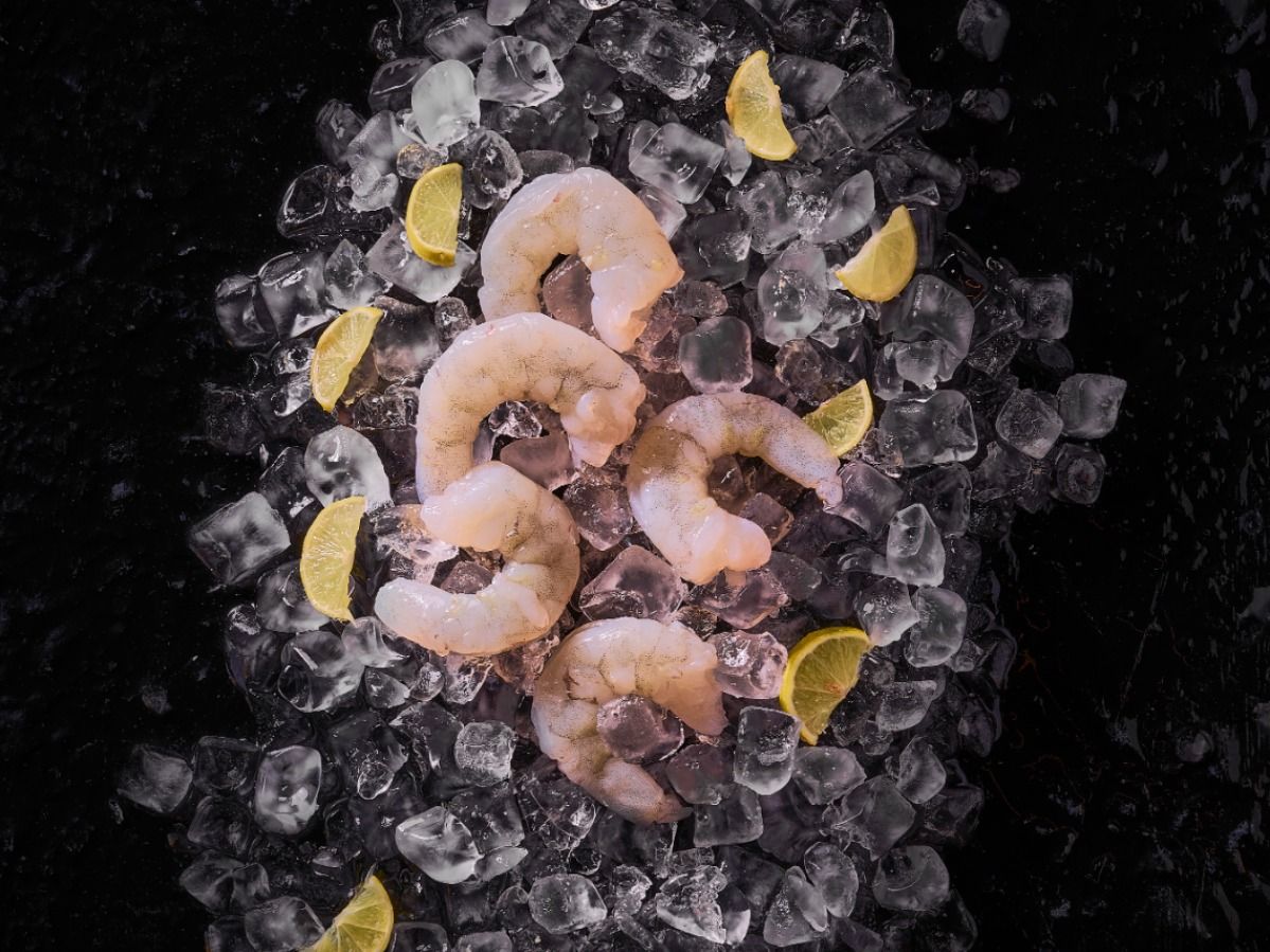 Meat Shrimp- Large Size