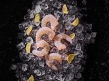 Meat Shrimp- Large Size