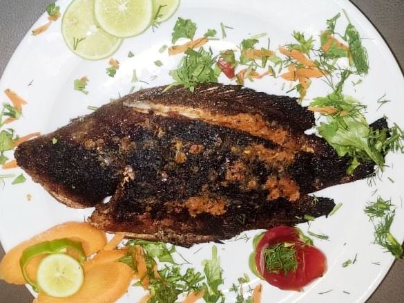 Tilapia Fish