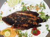 Tilapia Fish