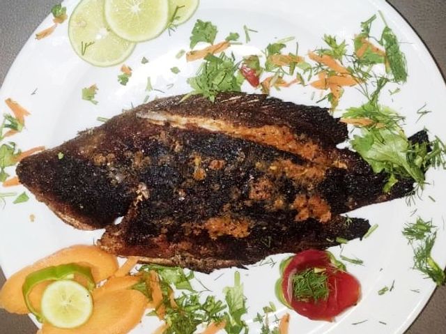 Tilapia Fish