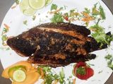 Tilapia Fish Meal