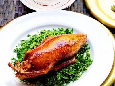 Single Stuffed Pigeon