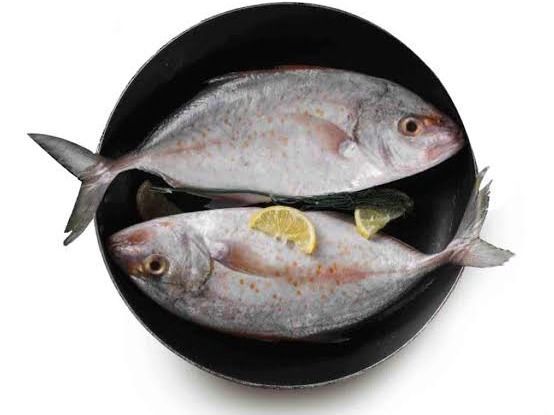 Red sea Nile Perch