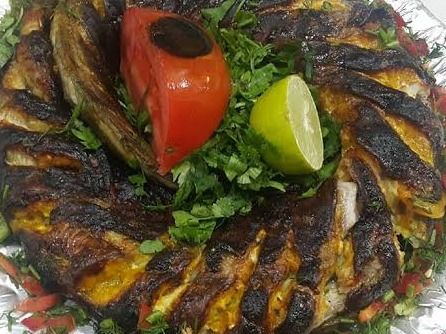 Baladi Snake
