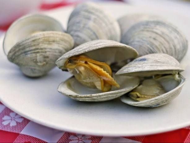 Clams