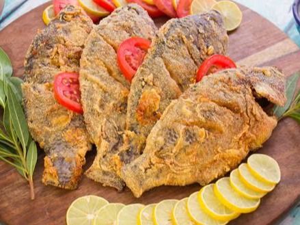 Tilapia Fish