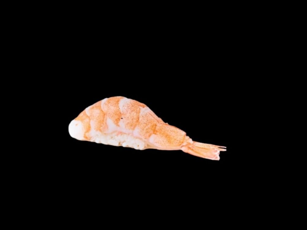 Nigiri Shrimp Ebi 1 Piece