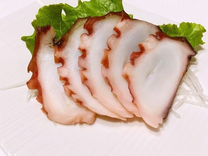 Octopus Tako