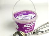 Box Ice Cream Berry Yoghurt