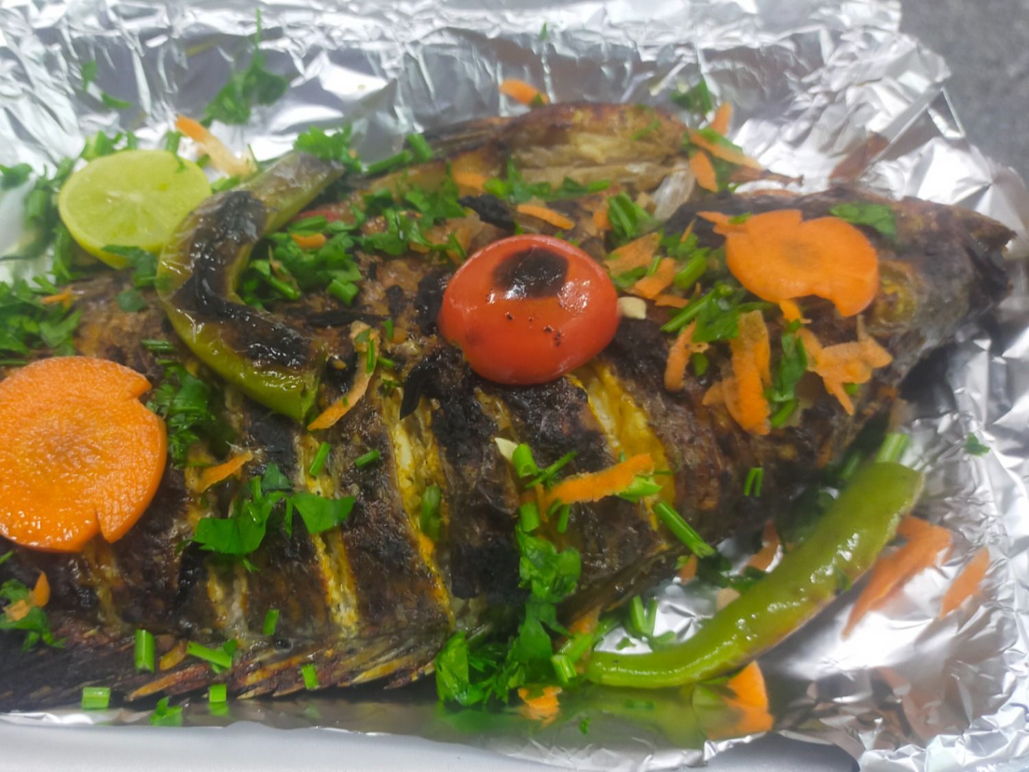Tilapia Fish
