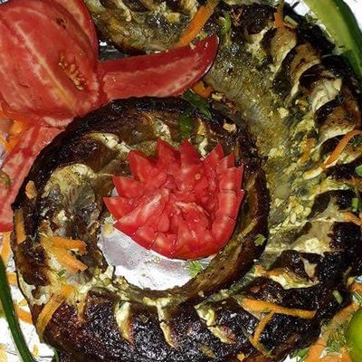 Eel Fish