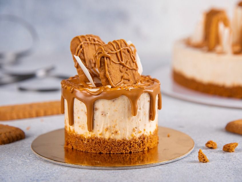 Cheese Cake Round Lotus