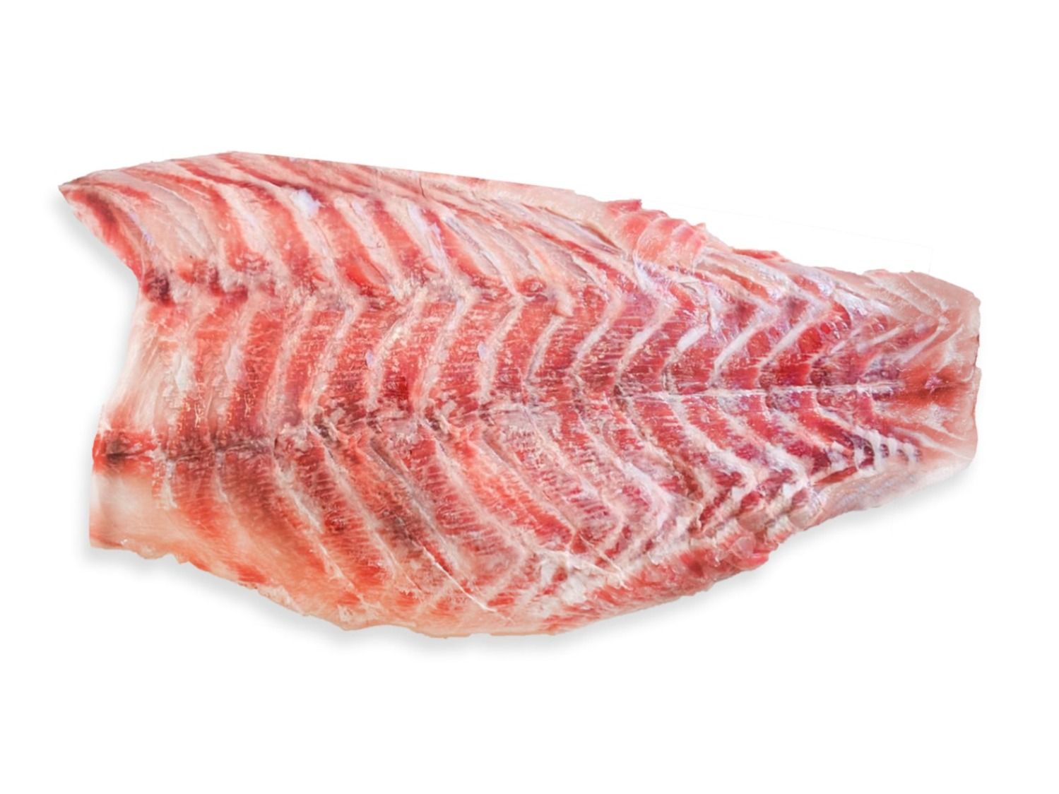 Nile perch fillet raw