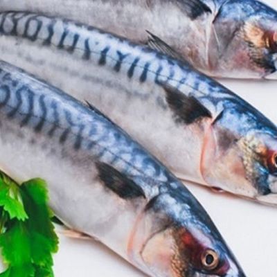 Raw Dutch Mackerel