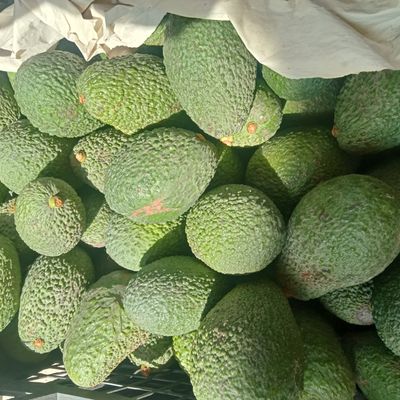 Avocado with Mango Power