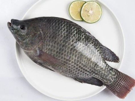 Fresh And Raw Tilapia Cleaned