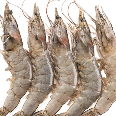 Large fresh raw shrimp
